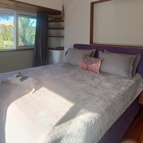 double size bed , bedroom bed